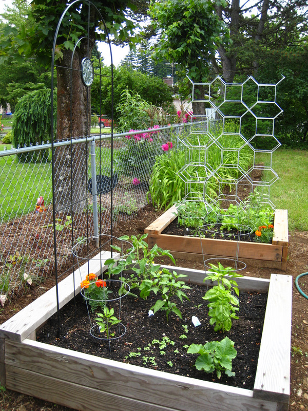 ikea-trellis-garden.jpg