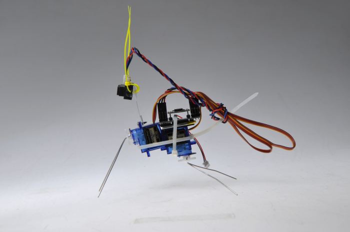 insectbotmini_DSC0157.JPG