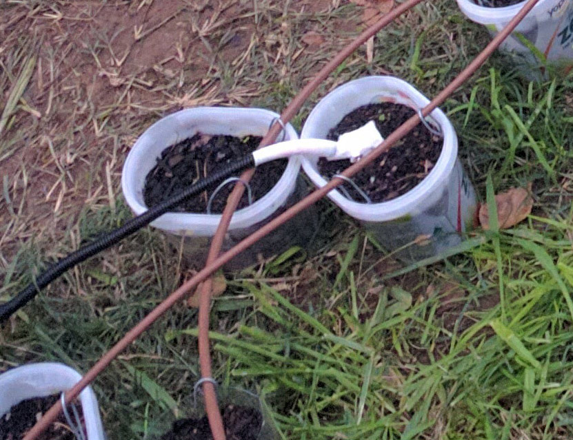 install-soil-probe.jpg
