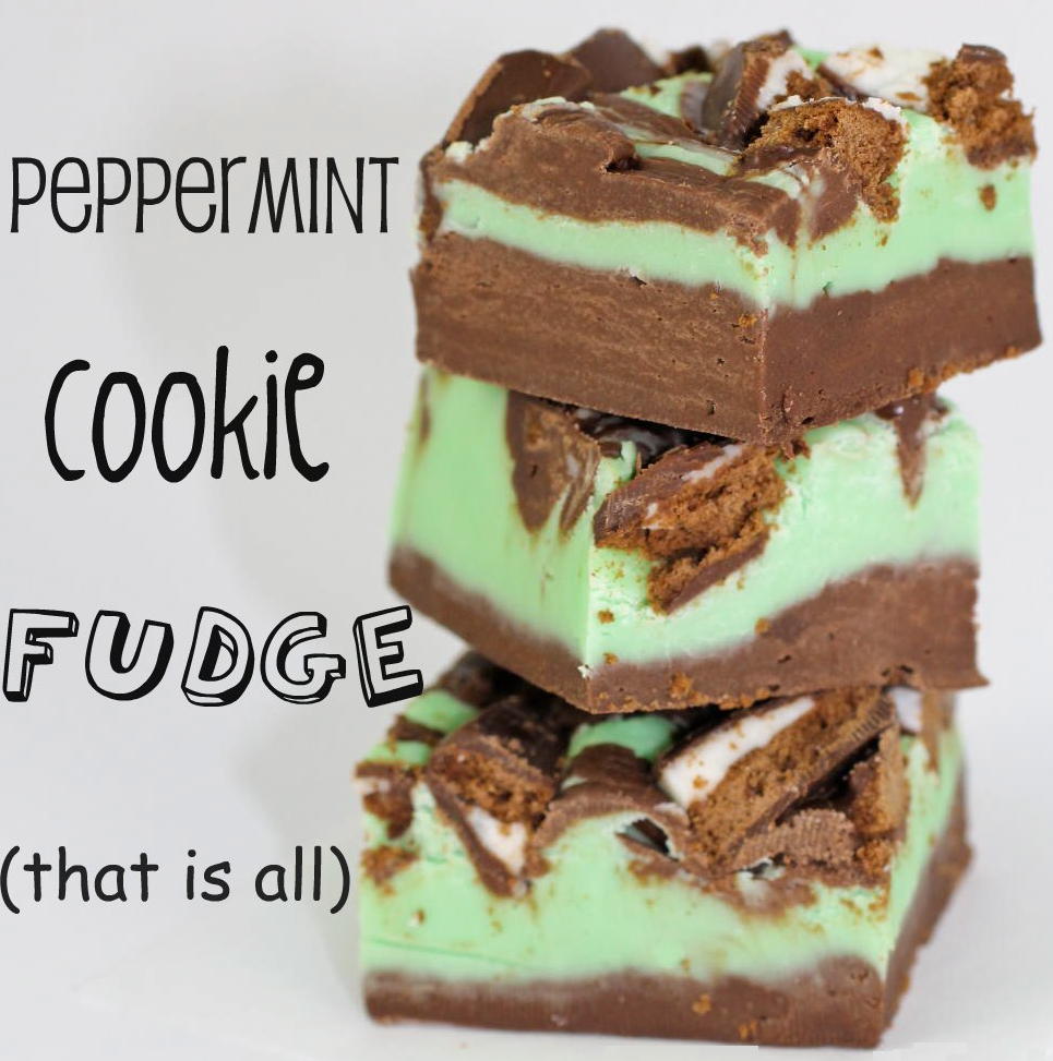 instructables bubble and sweet linda vandermeer Peppermint cookie fudge that is all.jpg