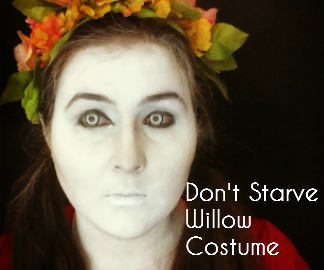 instructables willow title.jpg