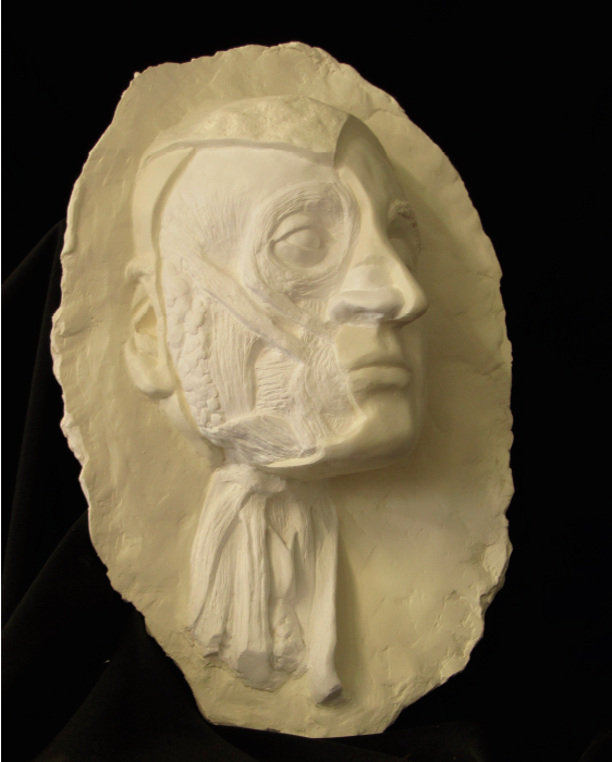 instructables_ecorche1.jpg