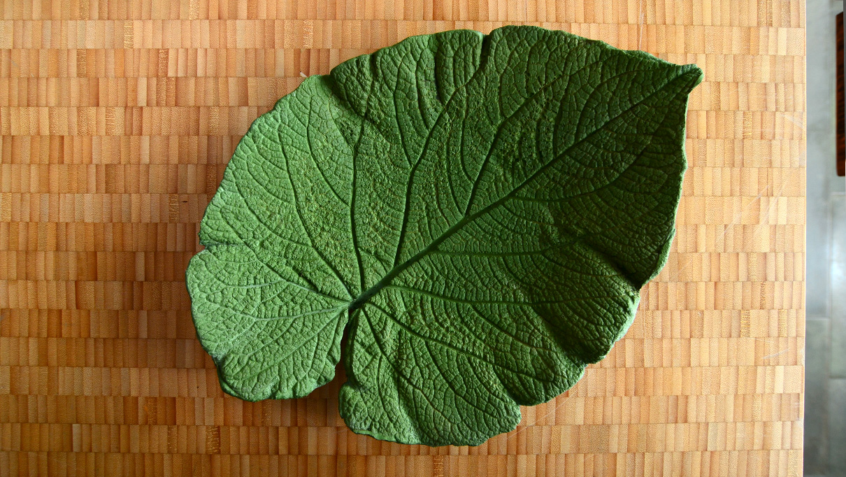 instructables_leaf_13.jpg