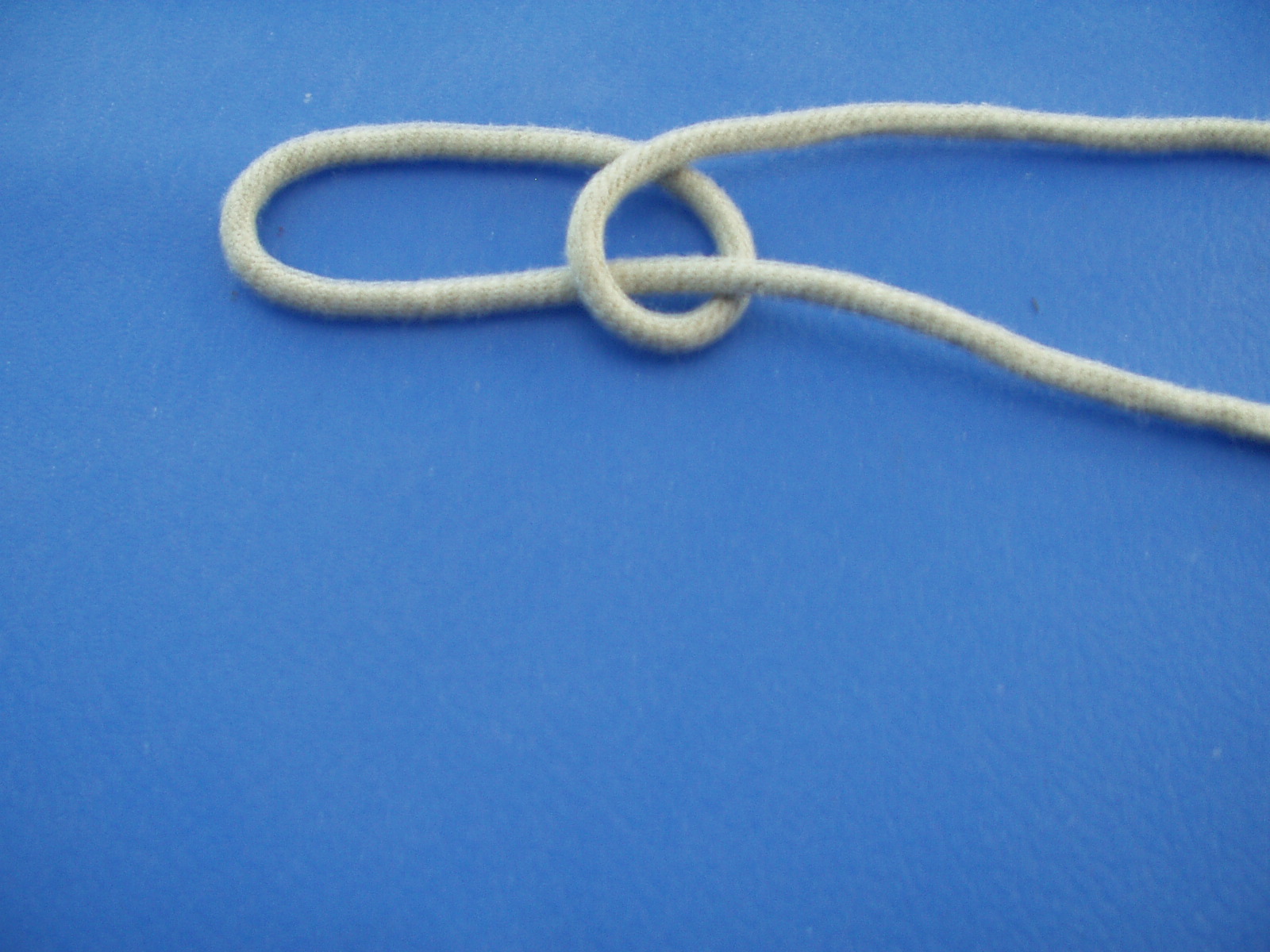 interlocked snake knot 002.JPG