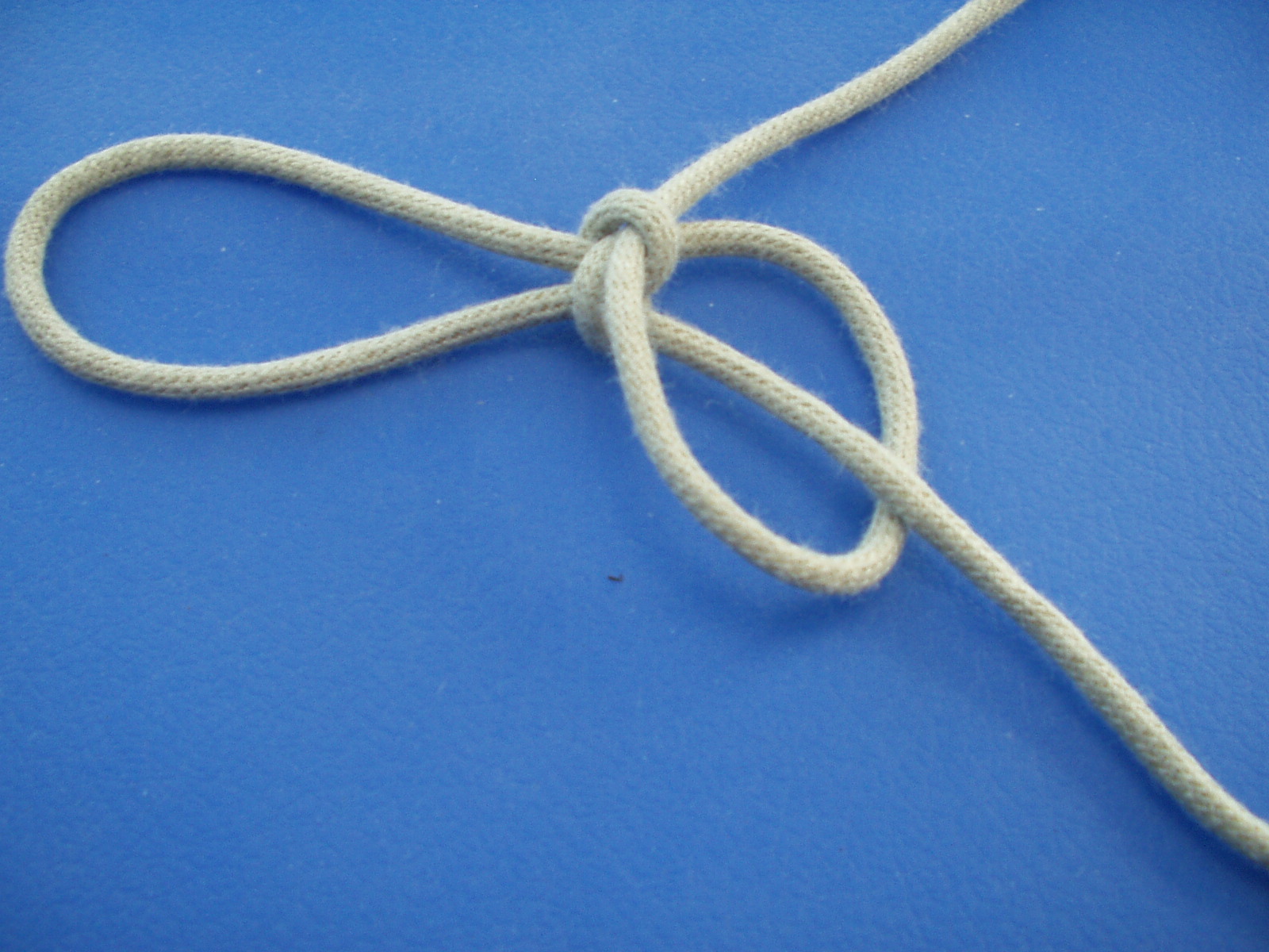 interlocked snake knot 007.JPG