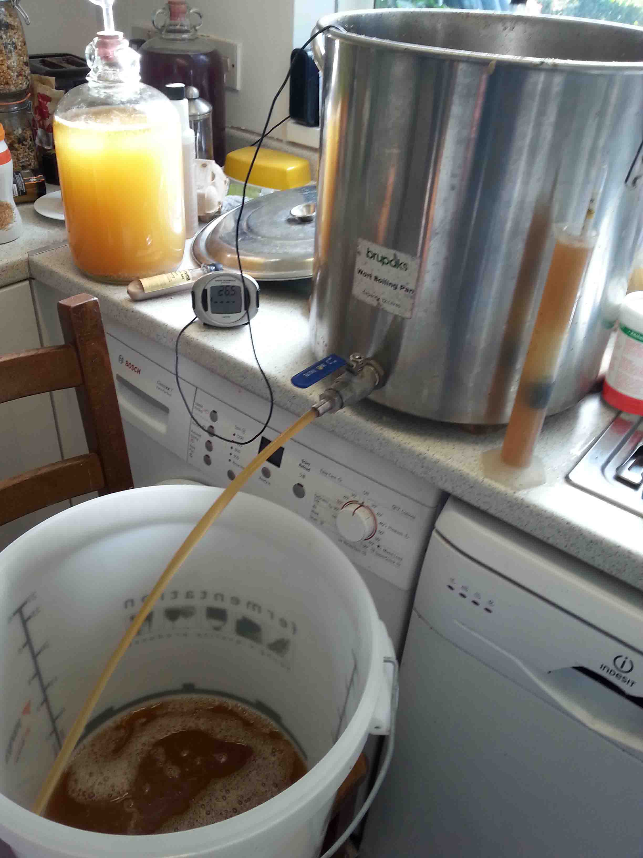 into fermentor.jpg