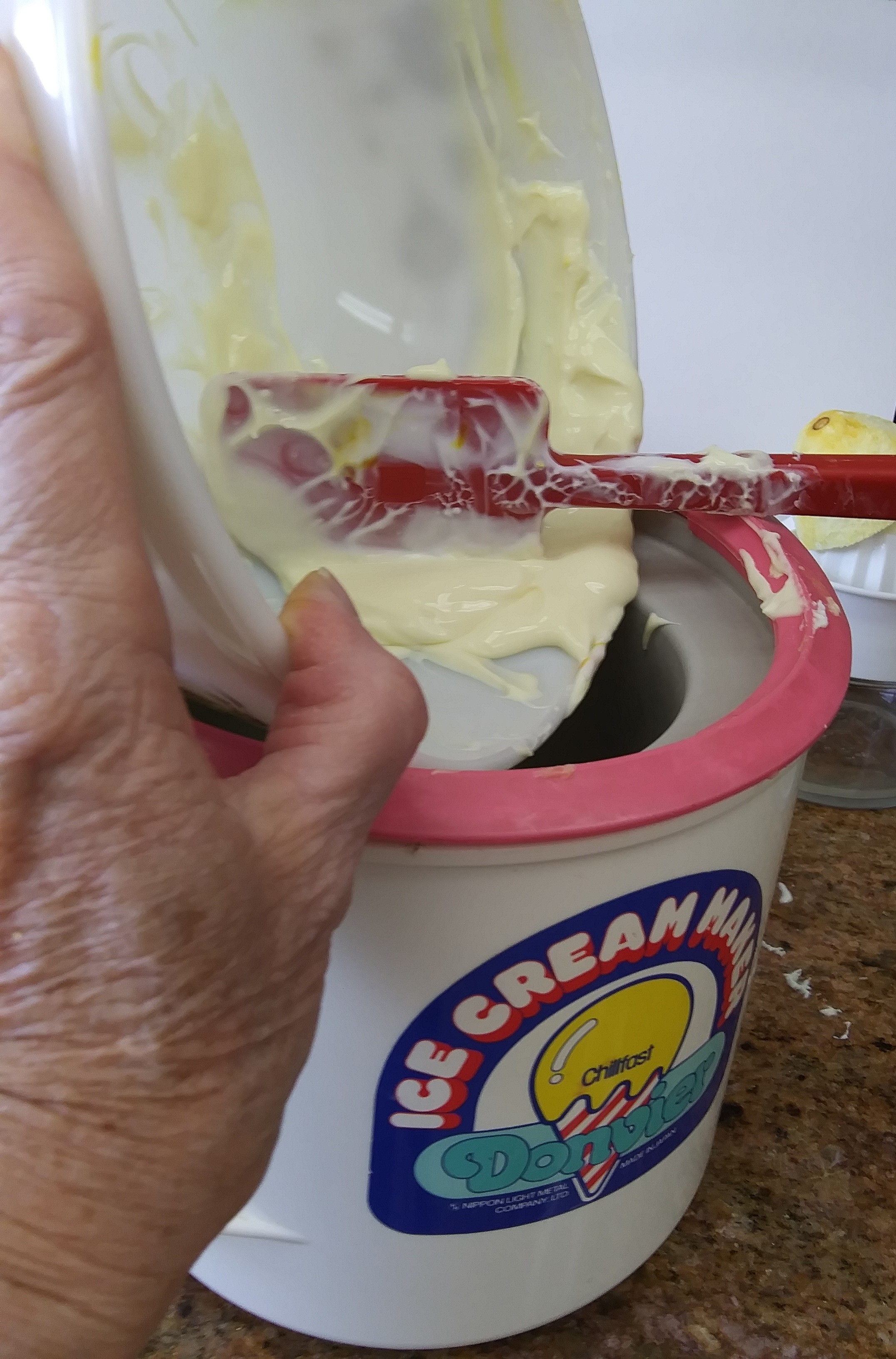 into the ice cream maker.jpg