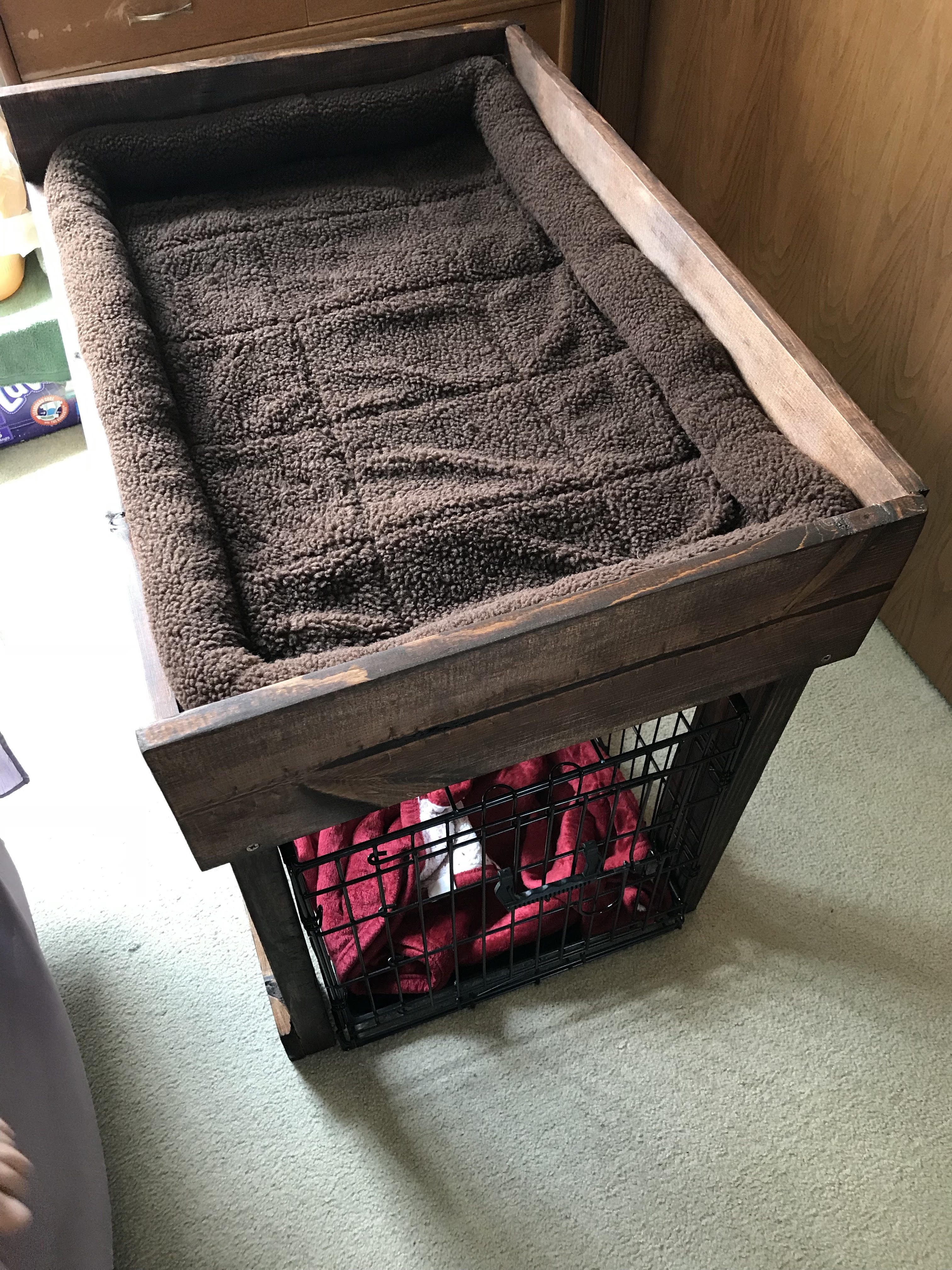 intro dog bed.jpg