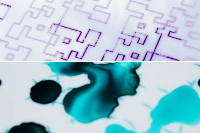 intro_color.jpg
