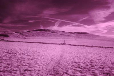 ir_landscape.jpg