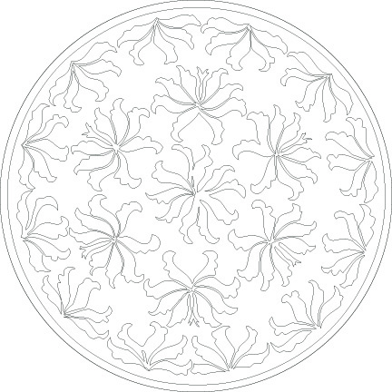 iris disk outline.jpg