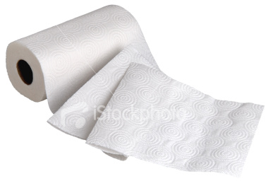 istockphoto_3629806_paper_towels.jpg