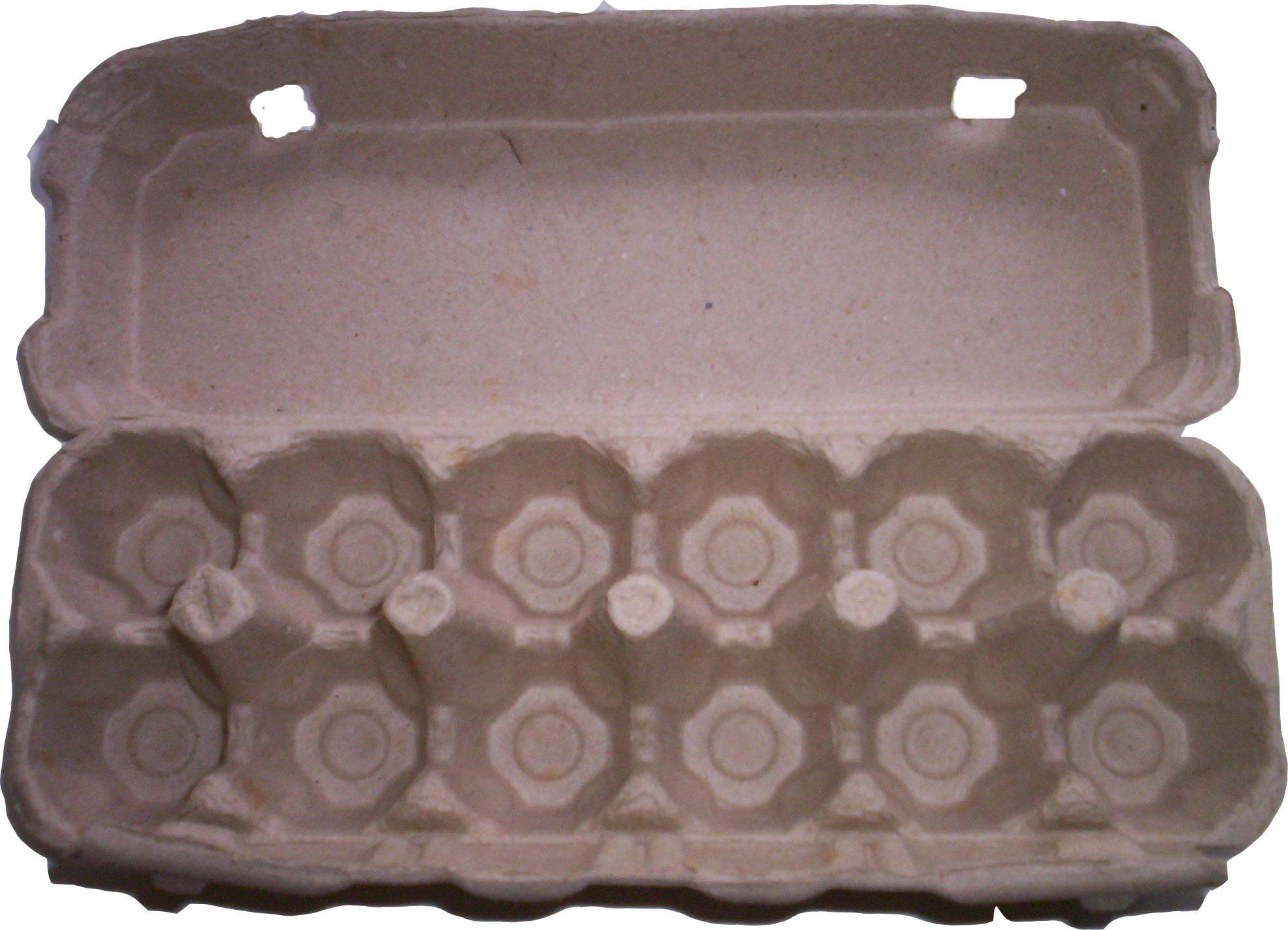 item_6940661412-egg carton2.jpg