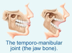 jaw.jpg