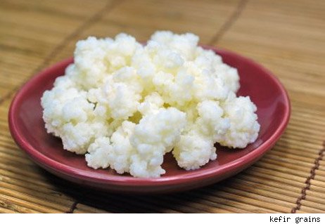 kefir+grains.jpg