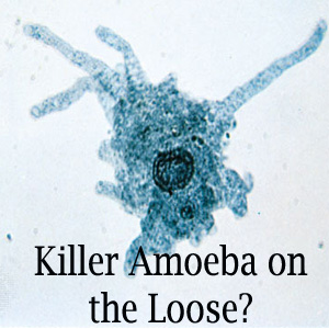 killer-amoeba.bmp