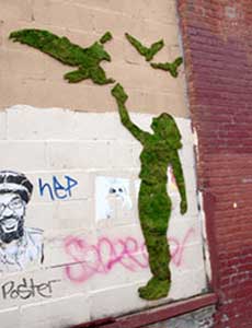 kitboard-moss-graffiti-7.jpg