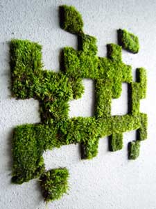 kitboard-moss-graffiti-8.jpg