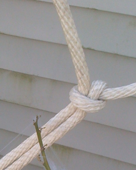 knot-2.JPG