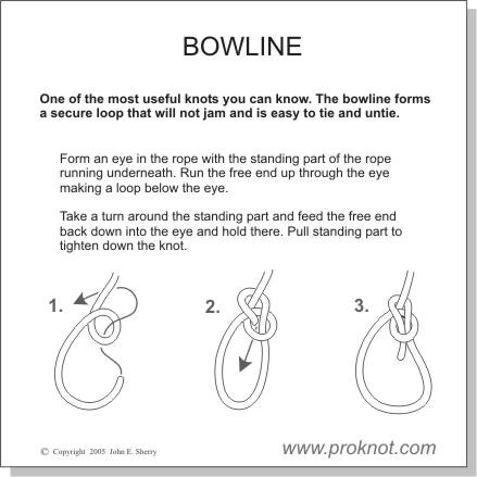 knot-5-bowline-knot.jpg