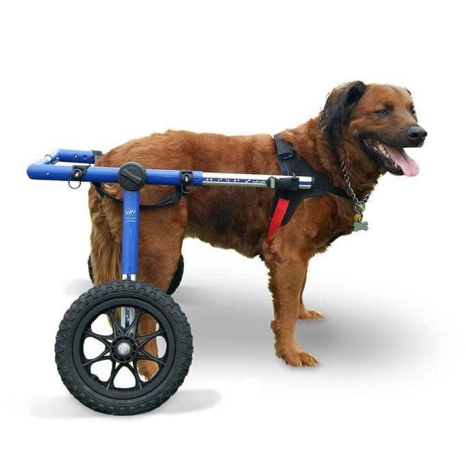 large-walkin-wheels-1-680x680_6e35424e-3e69-43d5-bdd7-f020ce1f71fb_680x680.jpg