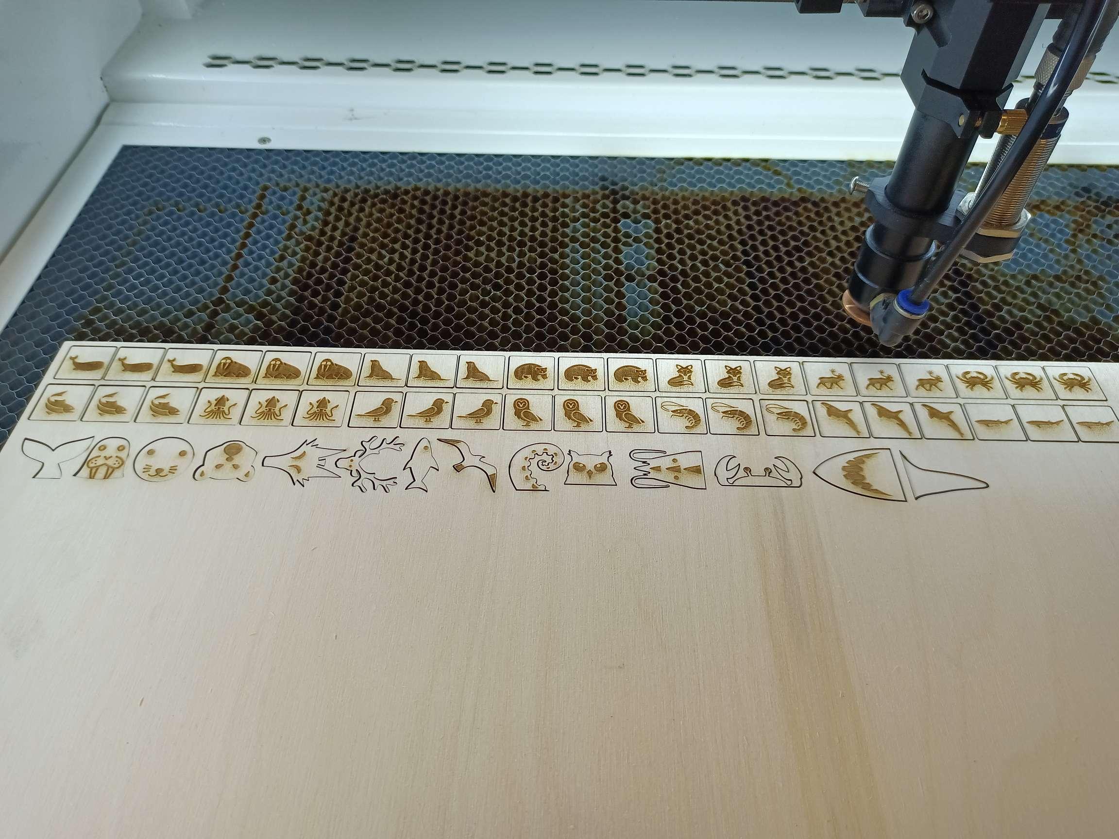 laser_cutting_the_animal_token_and_animal_samples.jpg