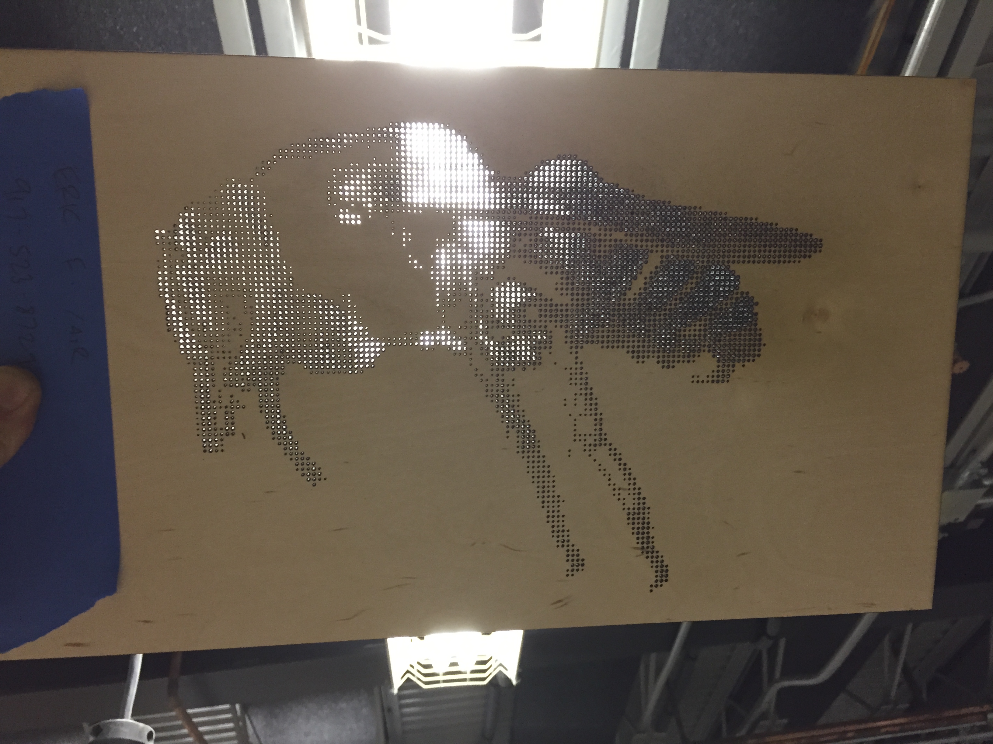 lasercut bee held up to light.jpg