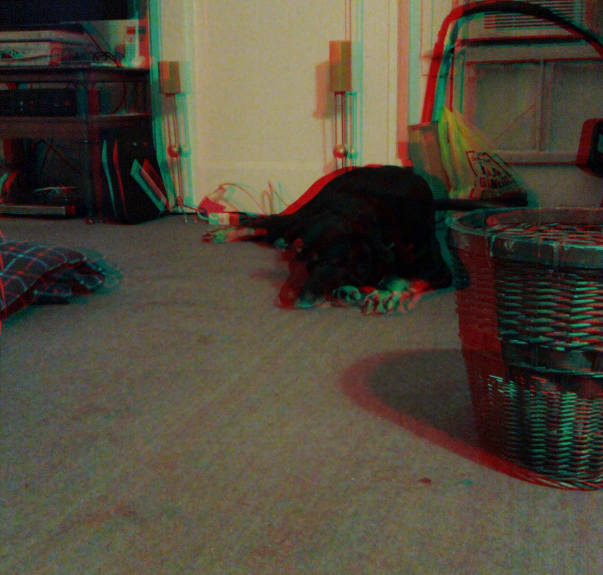 lazy-dog-3d.jpg