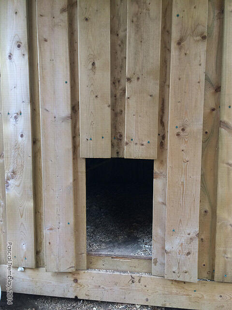 lean-to-chicken-coop-3.jpg