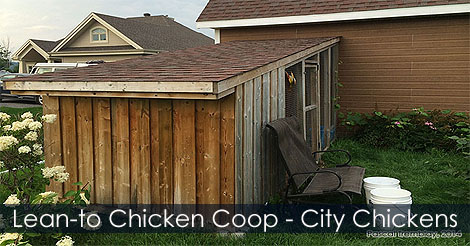 lean-to-chicken-coop-plan.jpg