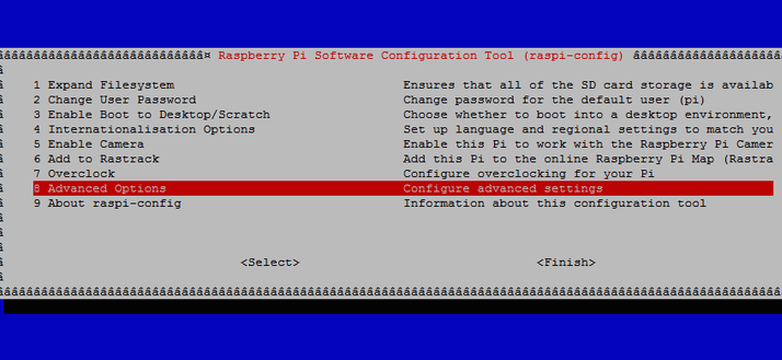 learn_raspberry_pi_advancedopt.png