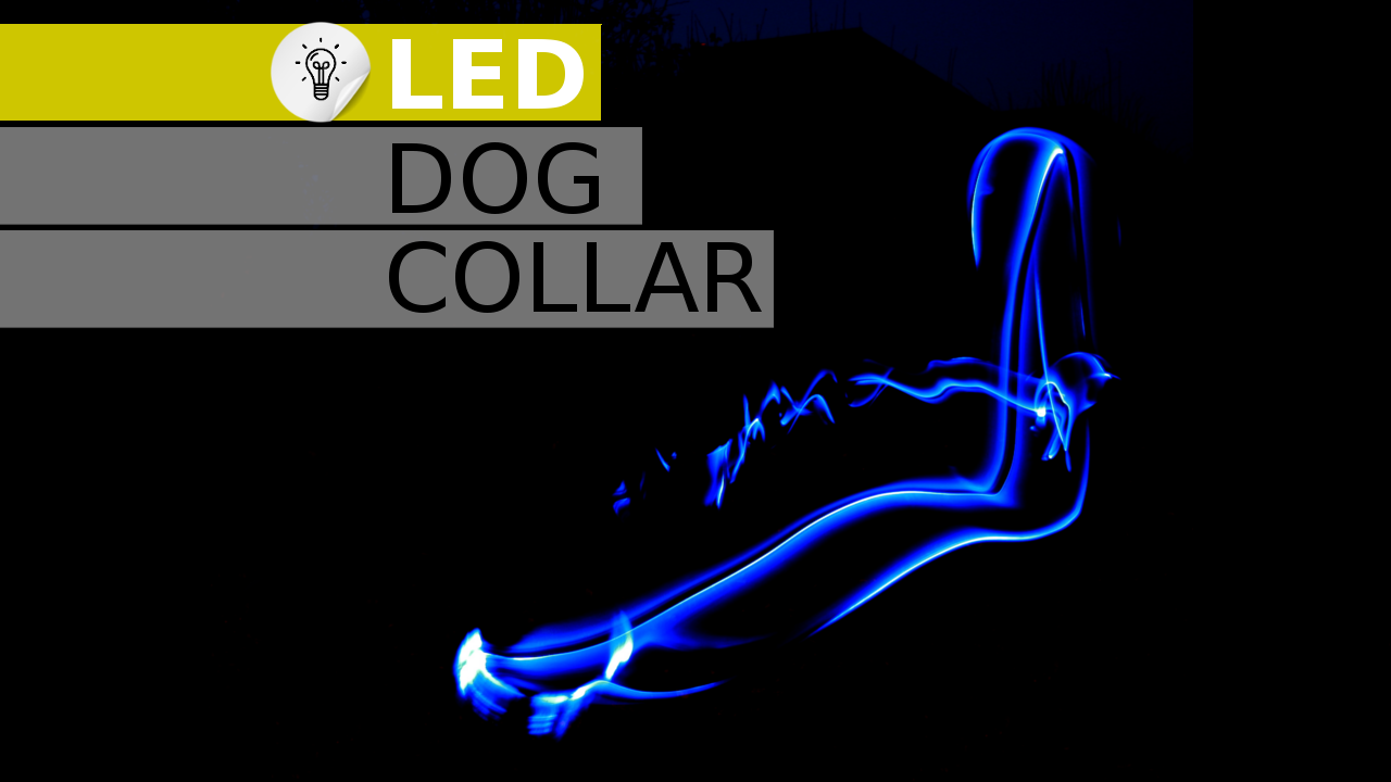 led dog collar.png