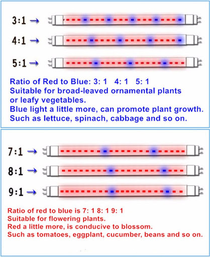 led ratio.jpg