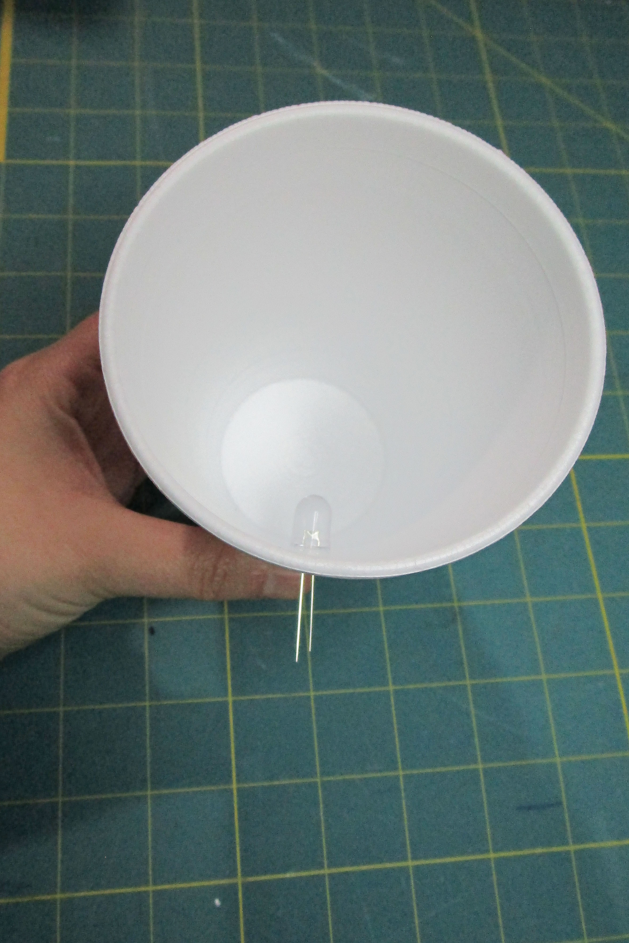 led-in-cup.jpg