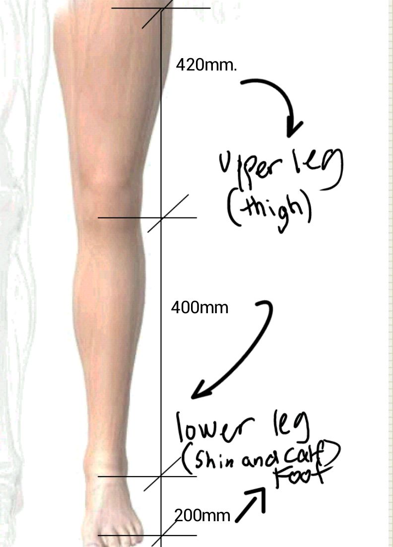 leg (dimensions)_01.jpg