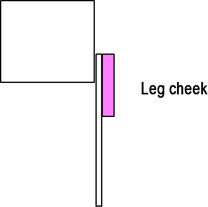 leg cheek.jpg