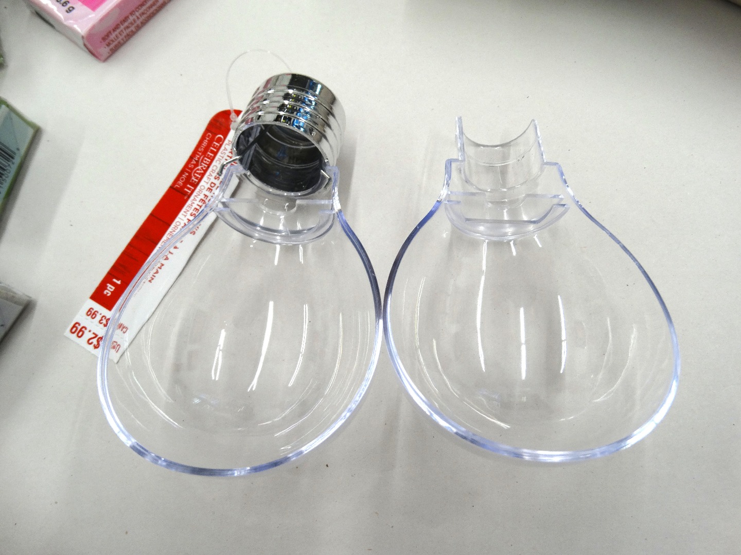 lightbulb terrarium 006 - Copy - Copy - Copy.JPG