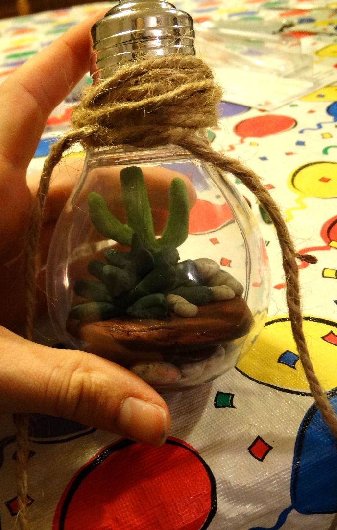 lightbulb terrarium 056 - Copy.JPG