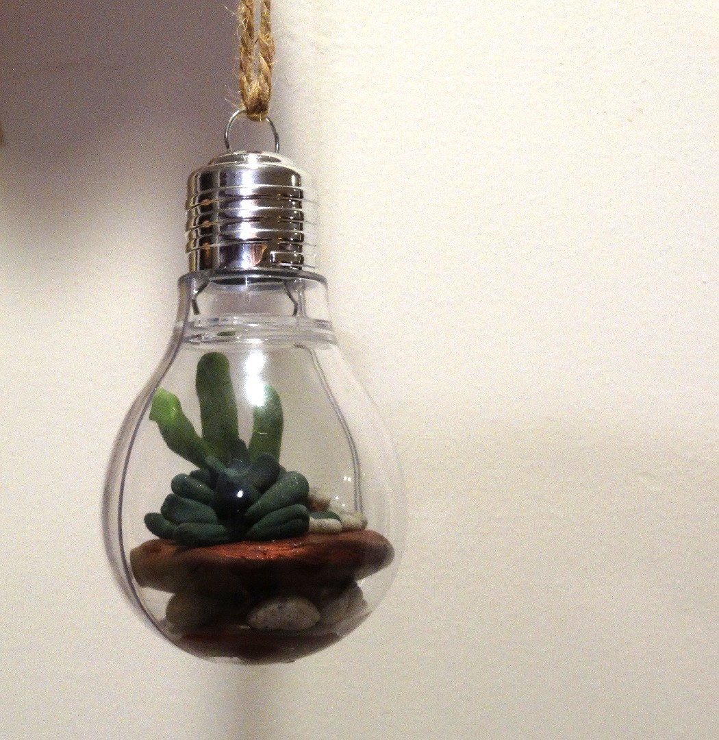 lightbulb terrarium 058 - Copy.JPG