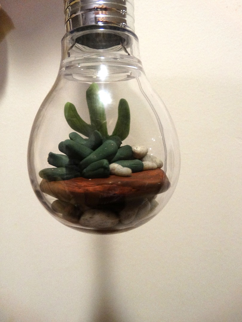 lightbulb terrarium 059.JPG