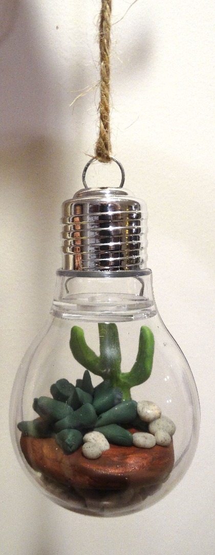 lightbulb terrarium 060.JPG