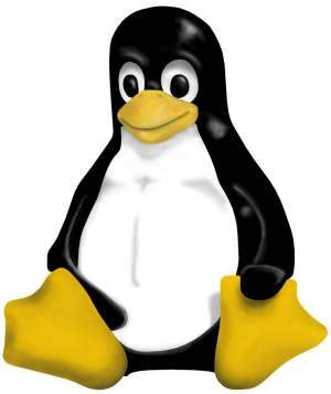 linux-penguin.jpg