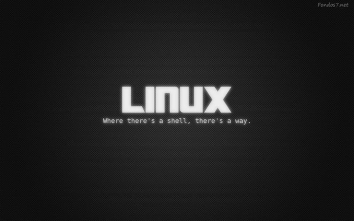 linux1.jpg