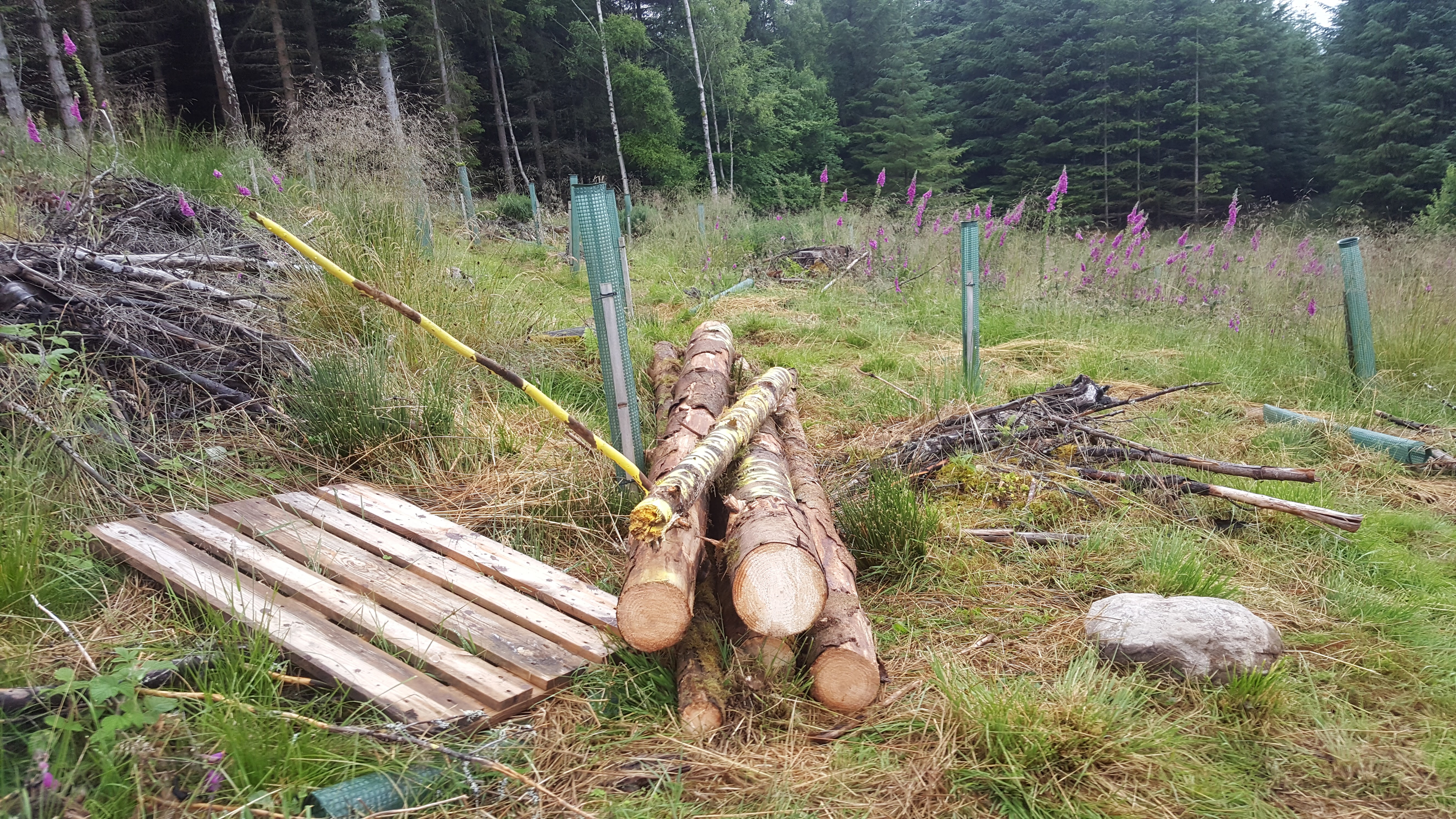 log pile long view.jpg