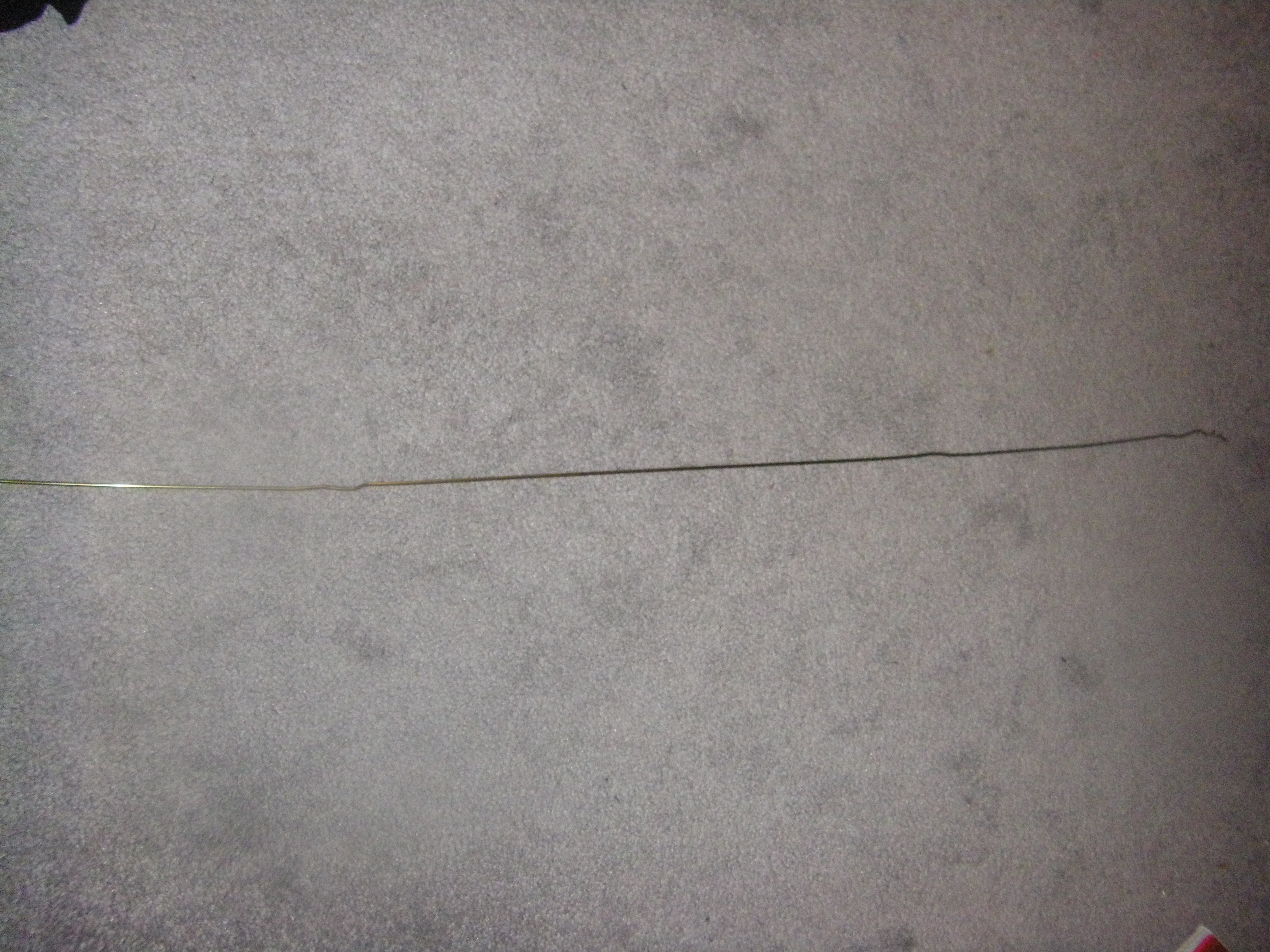 long wire.JPG