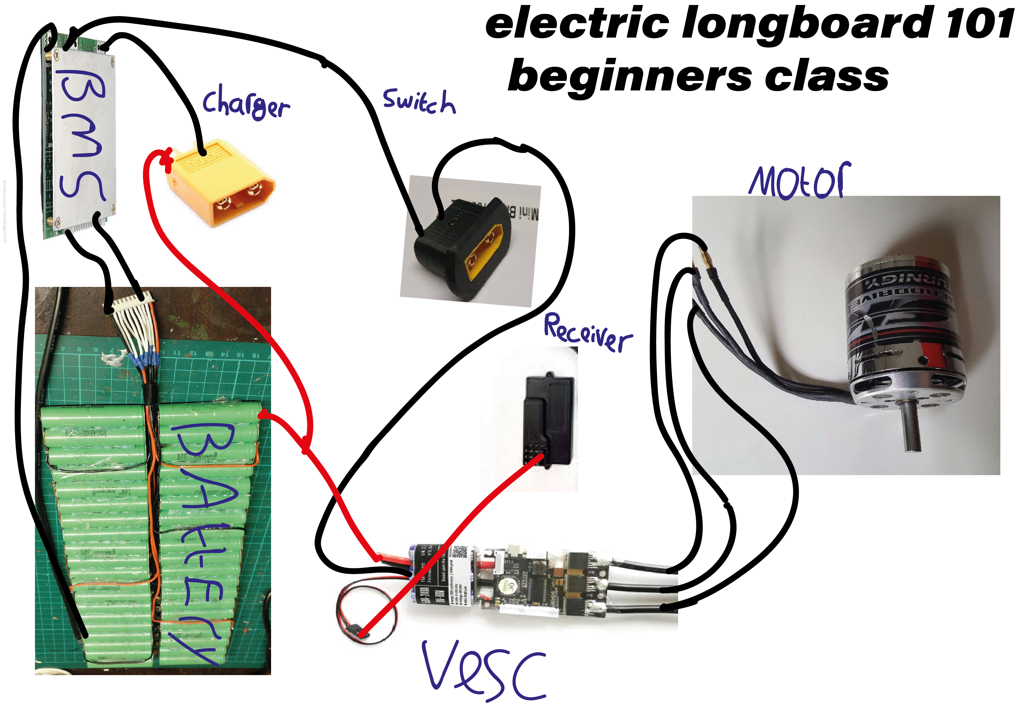 longboard esk (1).png