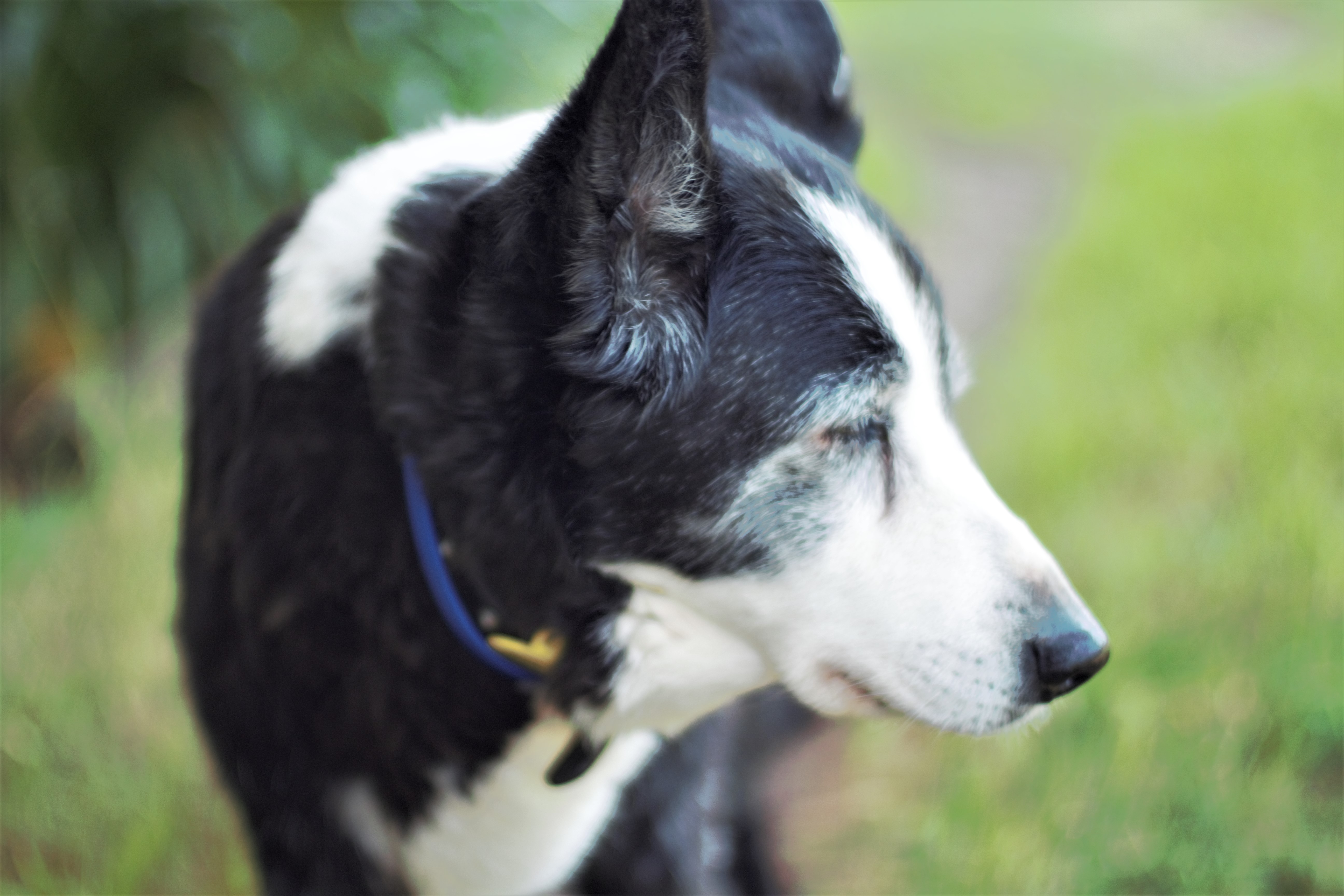 lucy outside side face closed eyes adjusted.jpg