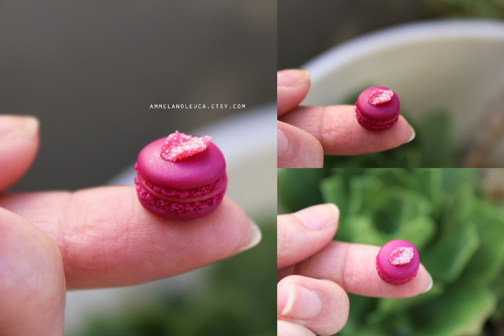 macaron.jpg