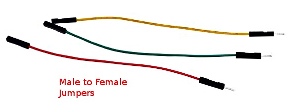 male-to-female-Jumpers.jpg