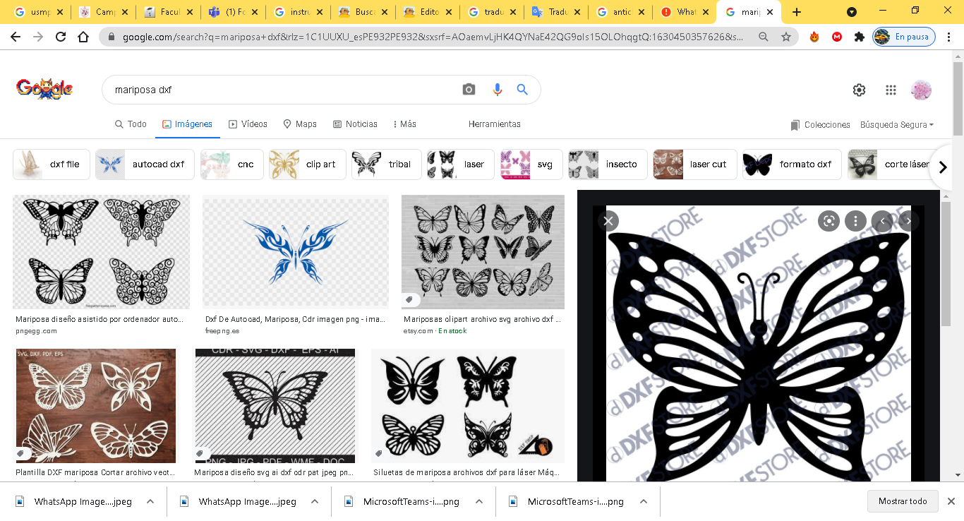 mariposa dxf - B&uacute;squeda de Google - Google Chrome 31_08_2021 17_52_57.png